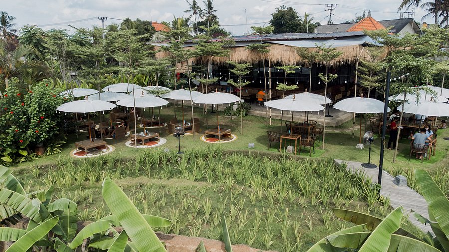 Ocin Babi Guling dan Samsam